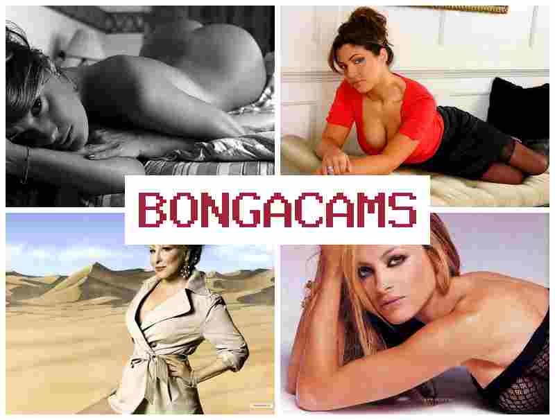 BONGA CAMSS 😍 Dark Rose1 Webcam Nude Sex & Black Fucked Getting Slut