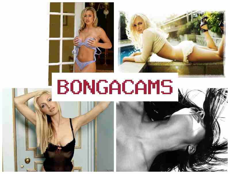 BBONGACAMS 🔷 Big Pussy on Webcam & Big Dildo Solo Girl, Webcam