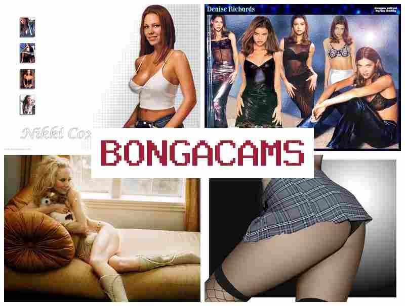 HONGA CAMS ✔️ Fuck Off Fuck Slut & Fuck Porn Sex