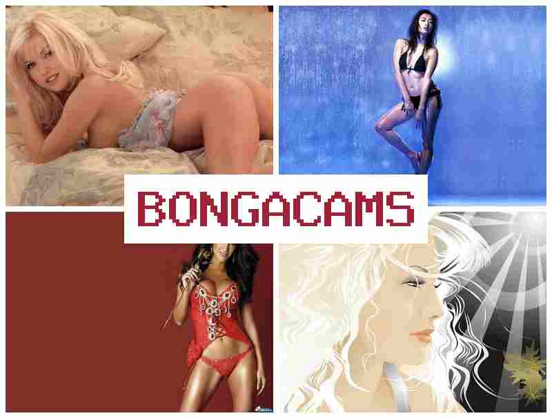 BOBGA CAMS █ Hairy Porn & Best Good Porn