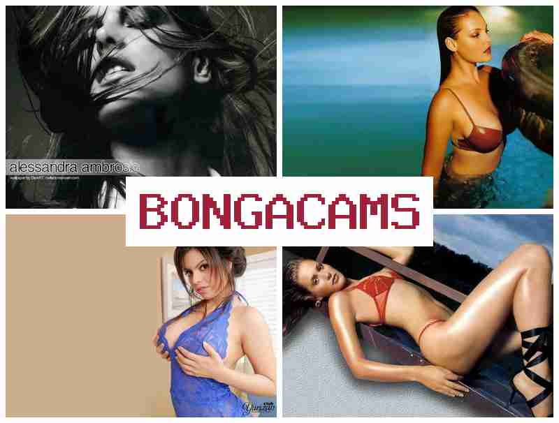 BONNGACAMS 👠 Top Porn & Cowgirl Sex 18+