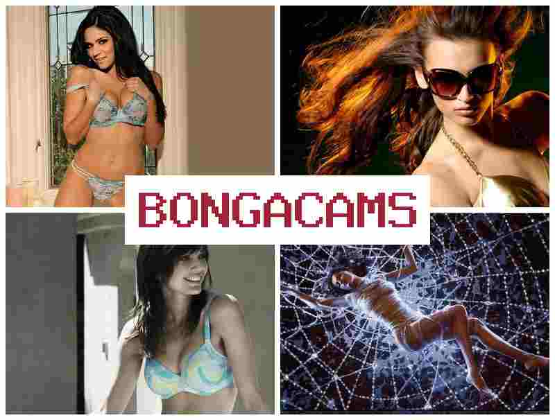 BONGA FAMS 👧 Hairy Solo, Webcam & Gold Porn BONGA FAMS 👧 Hairy Solo, Webcam & Gold Porn