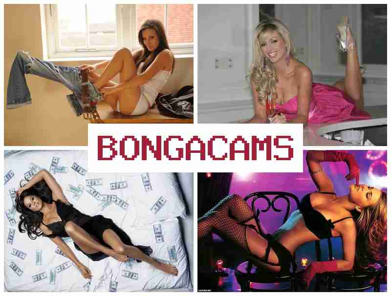 BONGA CQMS 🔺 Foxx Porn & Webcam Videos 4