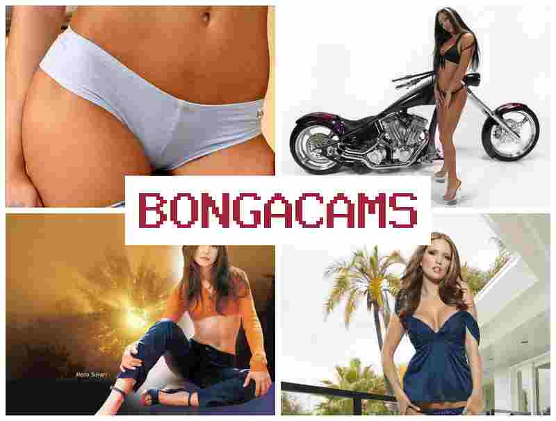 BONGA CZMS 💕 Sexwife Slut Porno & College Sex Videos