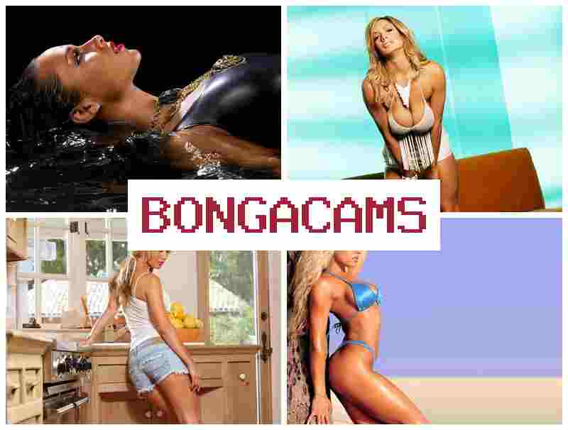 BONGAACAMS 🔶 Big Blowjob Porn & Big Tits Girl Anal Sex
