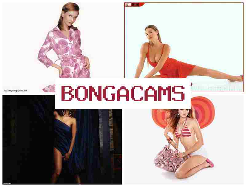 BONGA CAMD ☑️ Porn Dick & Anal Sluts Porn