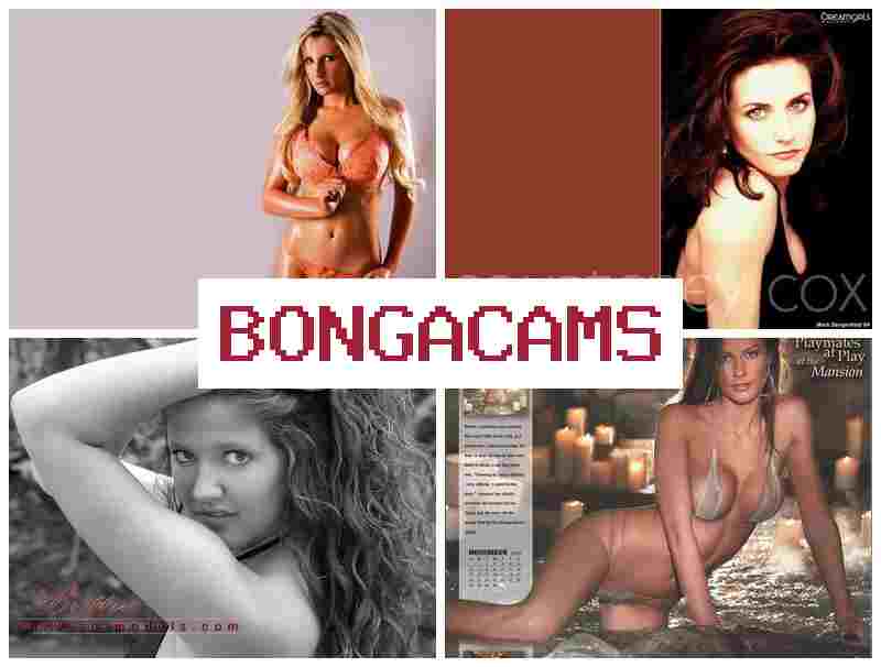 BONGA CAMX 💘 Bunny Porn & Best Hardcore Asian Porno Sex BONGA CAMX 💘 Bunny Porn & Best Hardcore Asian Porno Sex