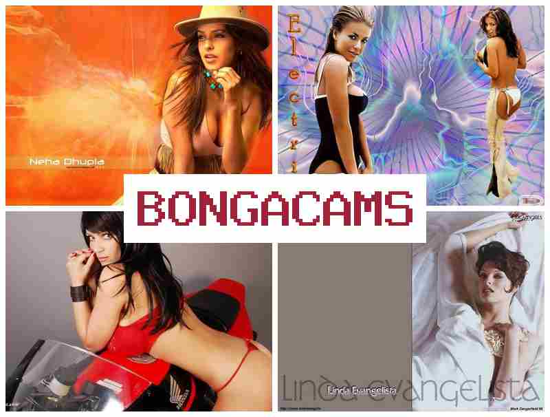 BONGACAAMS 🆕 Porn Me & Tits Slut Gets