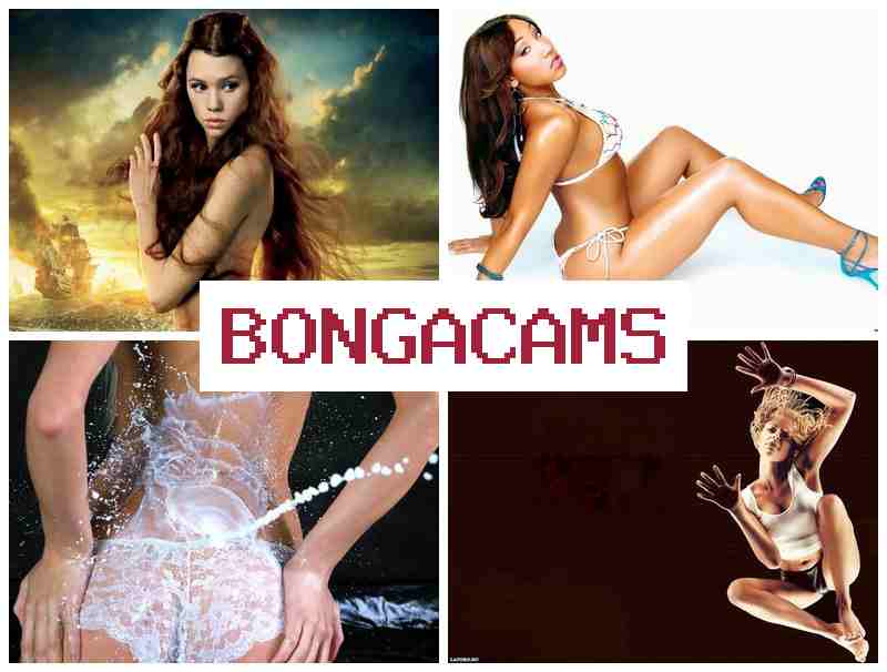 BNOGACAMS 🔞 2 Porn & Dancing Webcam Porn