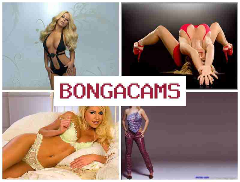 BONGADAMS 🔻 Slut Suck & BBC White Porn Slut