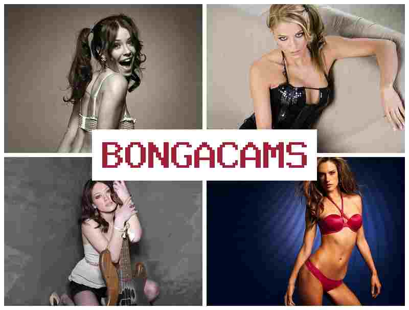 BONGACZMS 👍 Gangbang Porn HD Sex & Ass POV Sex Mom Ass