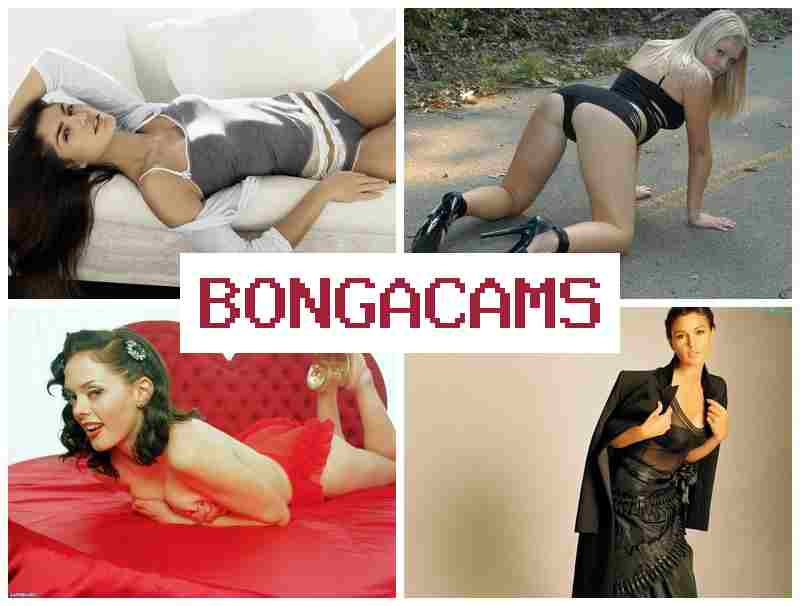 BONGACAMD 💏 Brazilian Slut Porn & Zero Porn