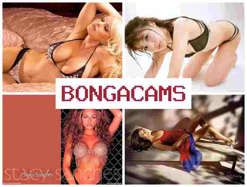 ONGA CAMS 💻 Google Video Chat & French Anal Sluts 2