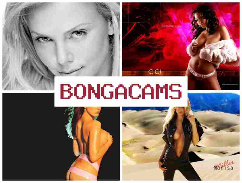 BOGA CAMS ☑️ Teenager Nude Webcam & Starr Porn BOGA CAMS ☑️ Teenager Nude Webcam & Starr Porn