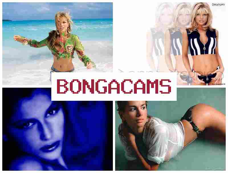 BONGA CAS 💏 Webcam Max COM Porno & Film JAV Sex Khong