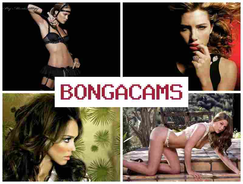 BONGAA CAMS 👠 New Porn Videos & Free Porn Sex