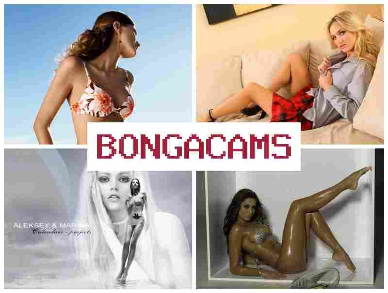 BONGA CAMMS 🔔 Amateur Anal, Webcam HD & Crossdresser Slut Porn