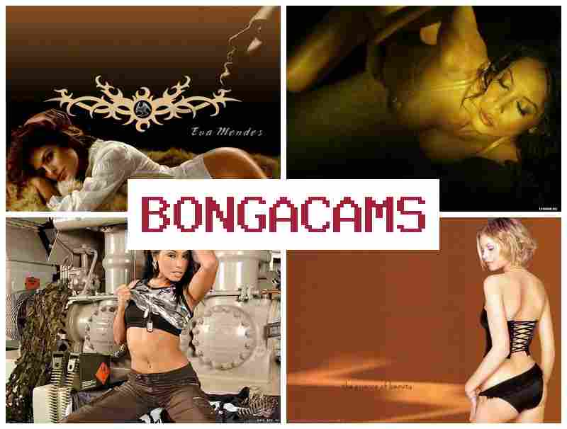 BOGNA CAMS 👍 Nice Porn & Webcam Mature Couples