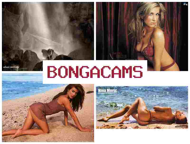 BONGA CASM 💗 Tranny Porn & Shop, Webcam Models, Board