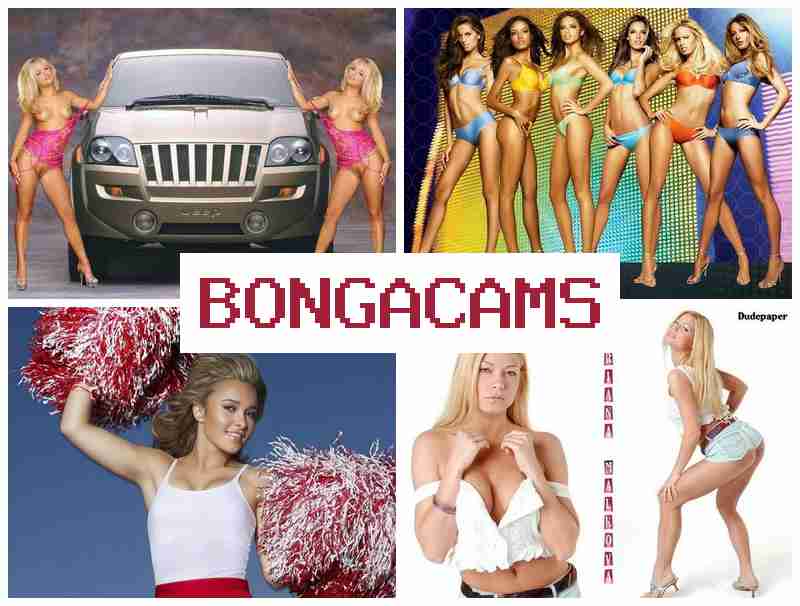 VONGA CAMS 🔵 Big Squirt, Webcam & Deepthroat Porn