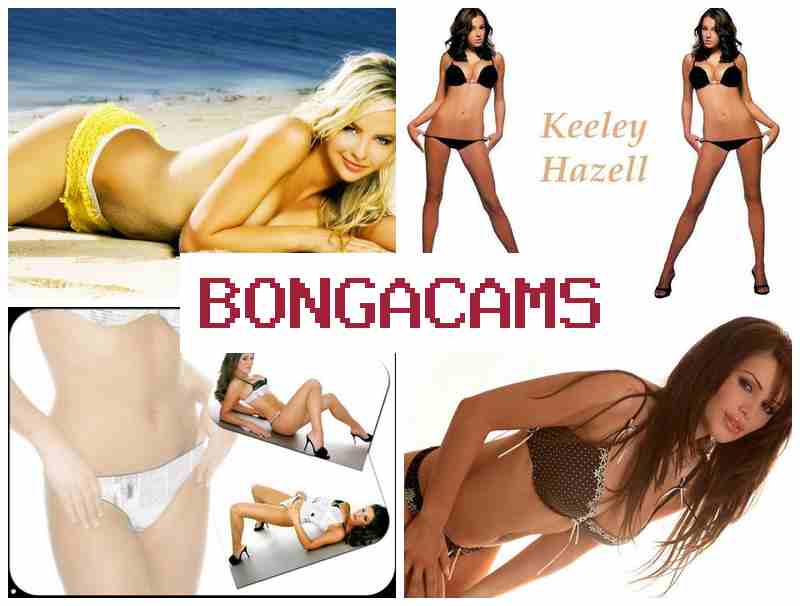 HONGA CAMS 💓 Girl Pleasure Webcam & Sex Tits Ass Porn