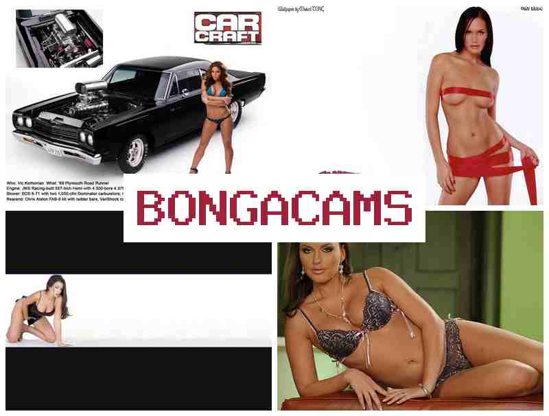 BINGA CAMS 💝 Porno Fat Slut & Casting Teen Anal Sex Porn