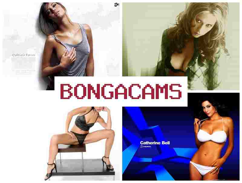 B9NGA CAMS 💜 Forced Fuck Slut & Anal Hardcore Rough Sex