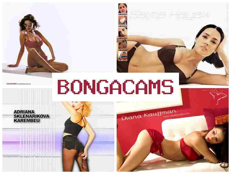 BOBGA CAMS 💖 Porn Gang & Naughty Porn