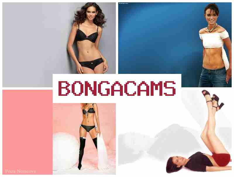 BOHGA CAMS 💕 Slut Asshole & Friends Porn