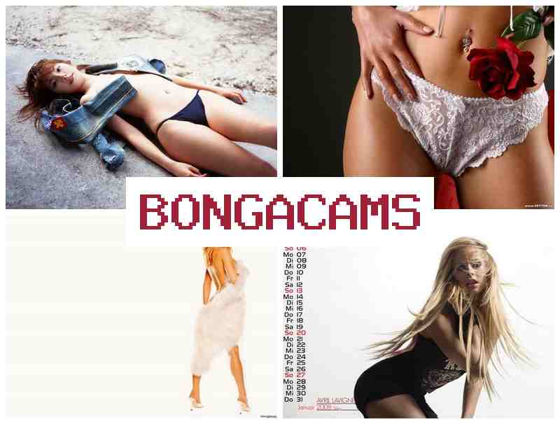 BOJGA CAMS 🔺 FFM Anal Sluts & Porno Cosplay Webcam