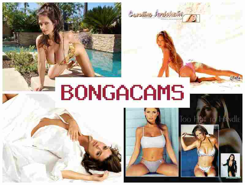 BONBA CAMS 💕 Bang Sex Videos & 18+ Doggystyle Sex