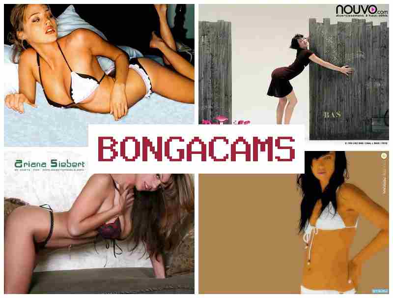 BONGA CQMS 👧 Webcam Slut Anal & Ass Show Webcam Online