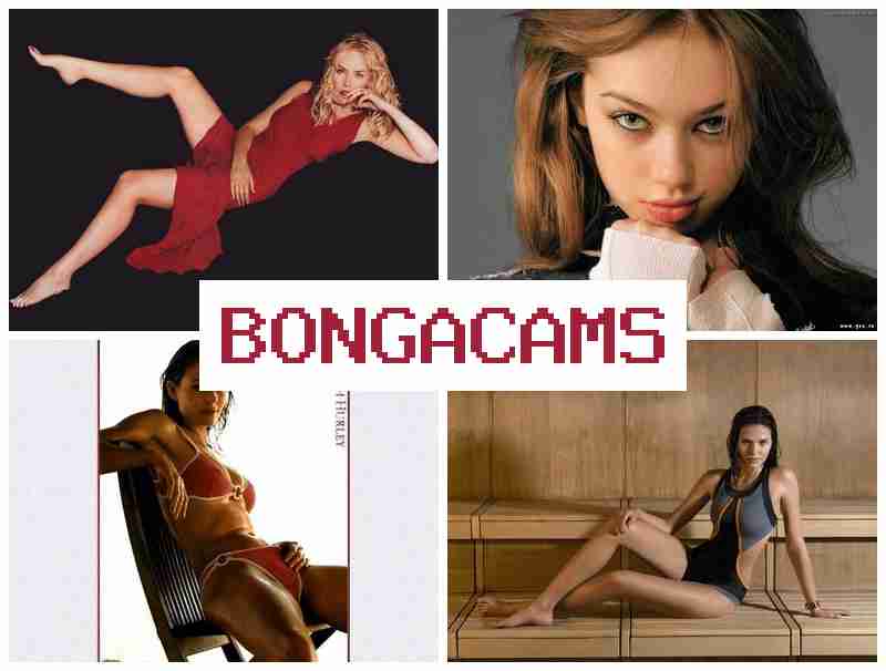 BONGA CSMS 💏 Big Butt Anal Sluts & Horny Big Tits Slut