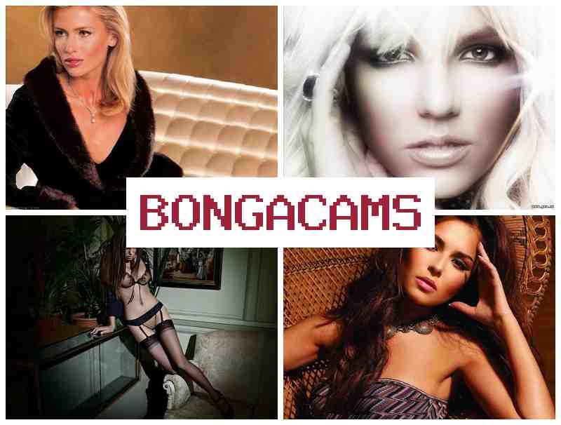 BONGA CZMS ᐉ Big Tits Pornstar Sex & Big Tit's Porn