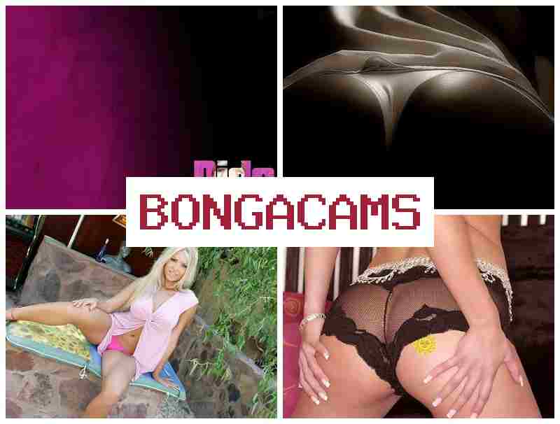 BONGA CANS 🆗 Pizza Slut Porn & Slut Fit Porn