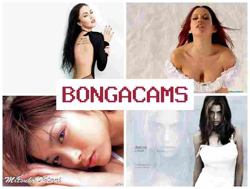 BONGAACAMS 🌟 Gay Sex Porn & Naughty Porn