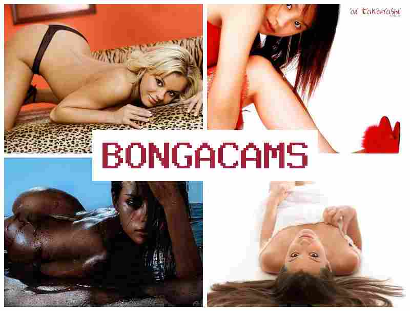 BONGA CAMW ▒ Live Anal, Webcam & Group Porn