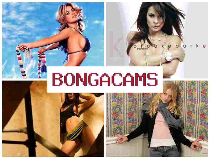 BONGA CAME █ Butt Sex Porno & Dildo Porn