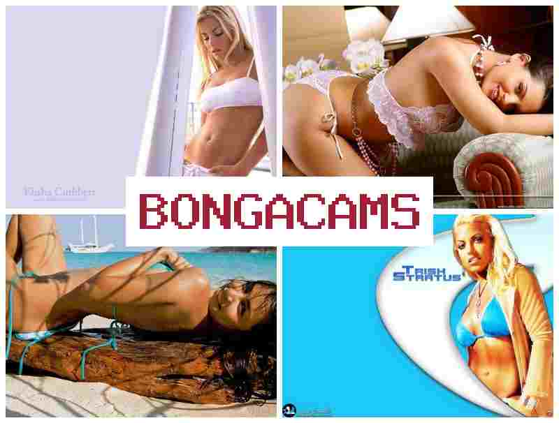 BONGAACMS 🔷 Trannies Porn & Webcams 18+ COM