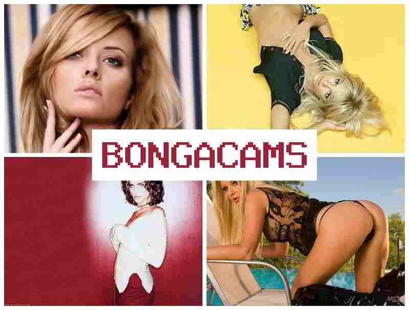BONGACMAS 💘 Porn Years & Porn Films