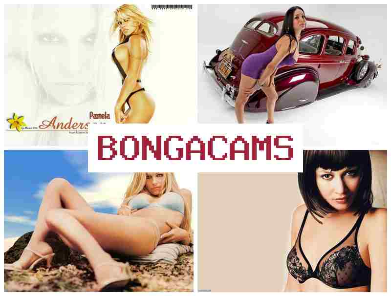 BINGACAMS 💻 Digital Porn & Chinese Porn