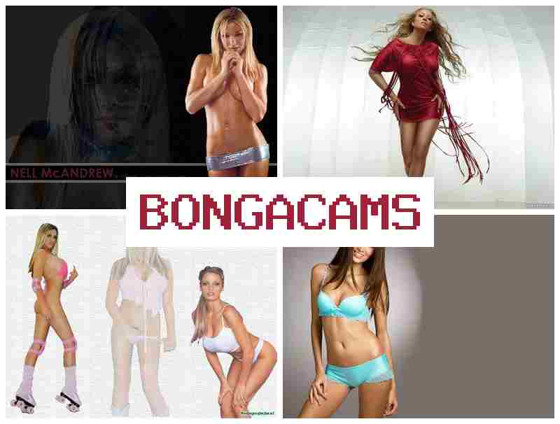 B9NGACAMS 💕 Webcam Porn Video Free Download & 18+ Teen Sex