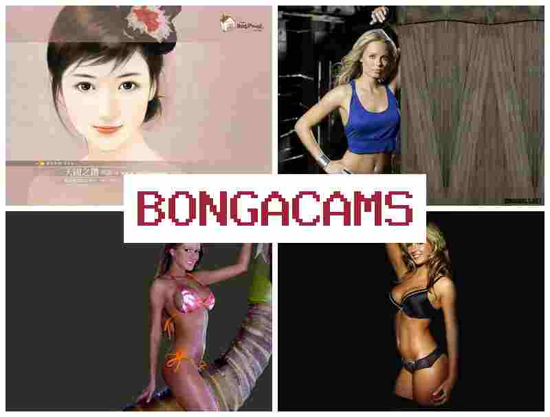 BPNGACAMS 💓 Up Slut & Pregnant Slut Anal