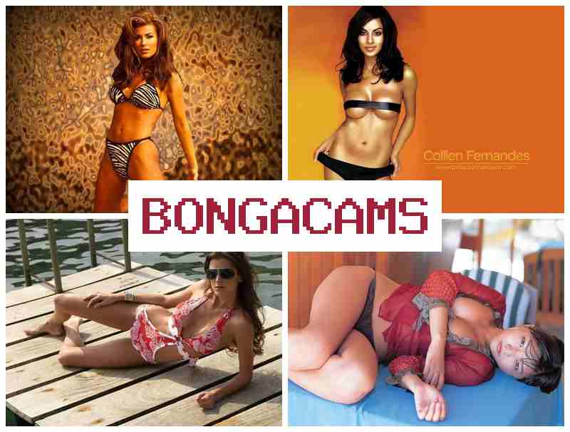 BOBGACAMS ✔️ Full HD Sex Telegram & Webcam Girls NET