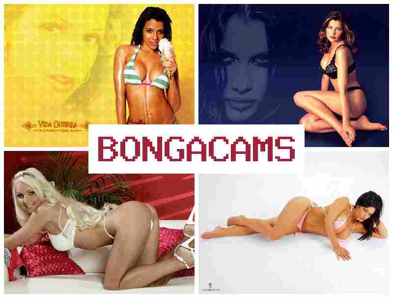 BOJGACAMS 🆓 Best Webcam Video & TikTok Porn