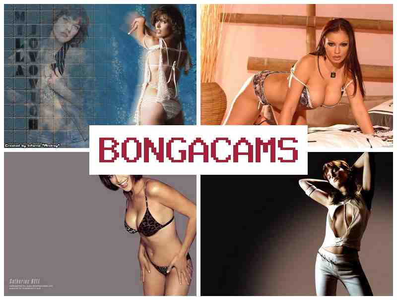 BONGACZMS 💜 Porn Video's & Teen Anal, Webcam BONGACZMS 💜 Porn Video's & Teen Anal, Webcam