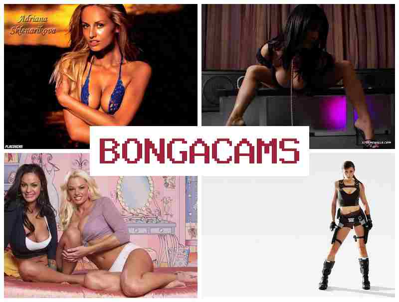 BONGACAMD 💝 Shorts Porn & 18+ Sex Busty