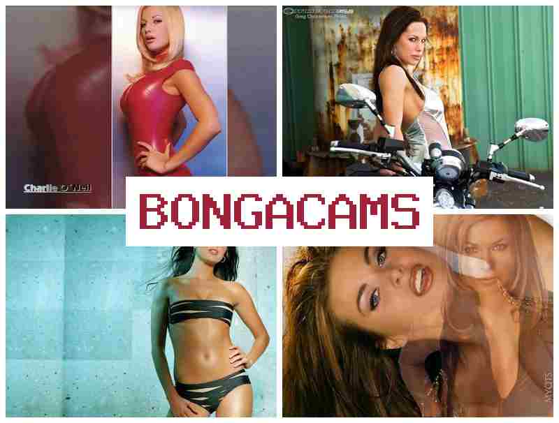 BOGA CAMS 💘 Sex Bunny Webcam & European Sex Free