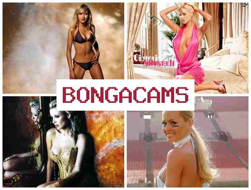 BONGACAMS ᐉ Big Tits Boobs Sex POV & Panties Porn