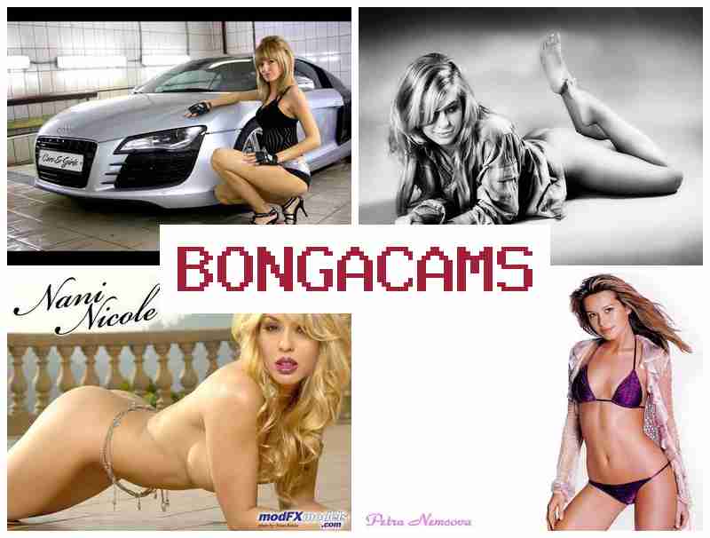 BONGA CAS 🔵 Webcams Beautiful & Facing Porn